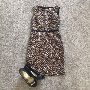 5 for $25! Loft cheetah print dress